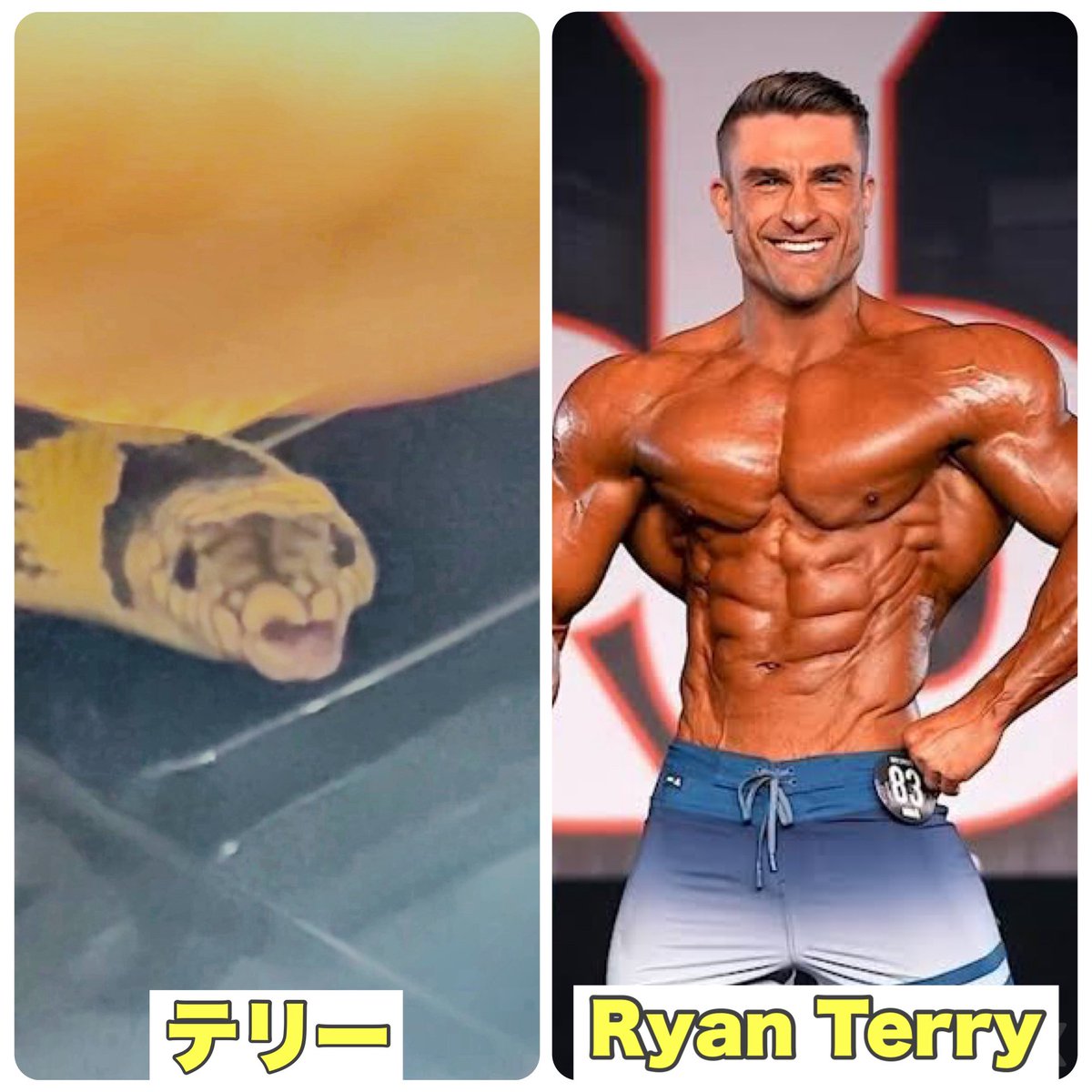 モロッコヨーグルト tweet media