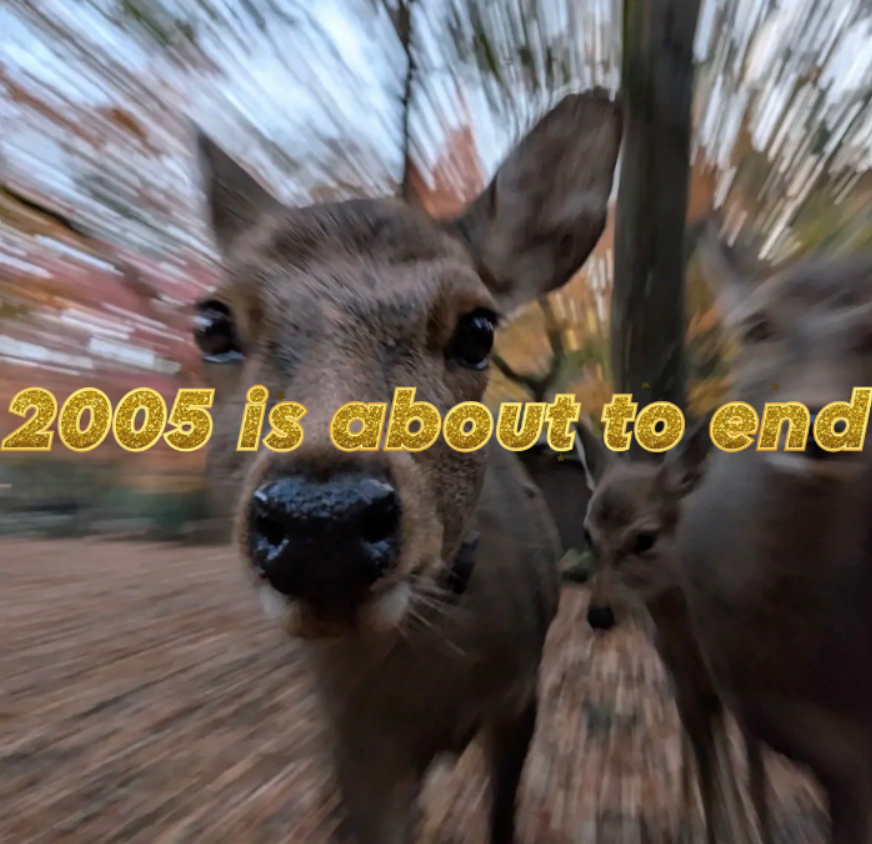 transgendeer (@ciervatonta) on Twitter photo 