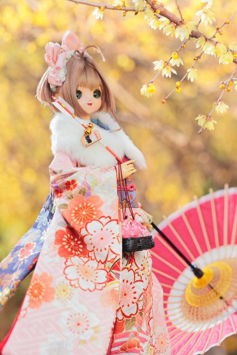 sakcol's tweet image. あけましておめでとうございます！

今年も沢山撮影に行けたらいいな！