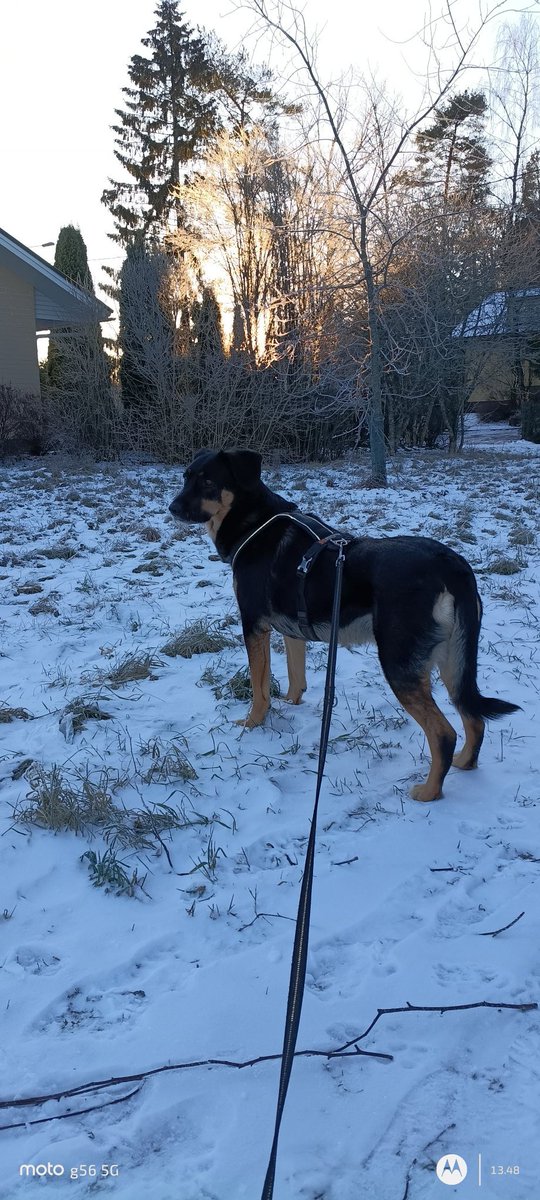 Hieno ilma oli vähän pitemmälle lenkille, vielä oli rauhallista.