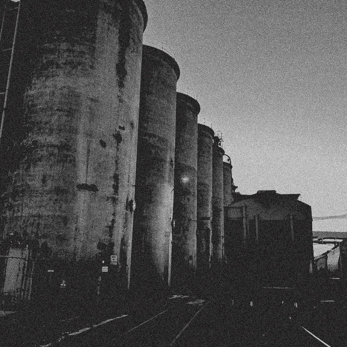 LOOLOWNINGEN &amp; THE FAR EAST IDIOTS 4th album 『THORN O' THE TIMES』2025.4
loolowningen.bandcamp.com/album/thorn-o-…

カナダとの関税鍔迫り合いのせいでUSツアー初日にLAに届かず、特急便で転送してもらったアセンズにも期日に届かず再転送してNYCで受取。何故か個口割れもしてて、運命に弄ばれたリリースでした。