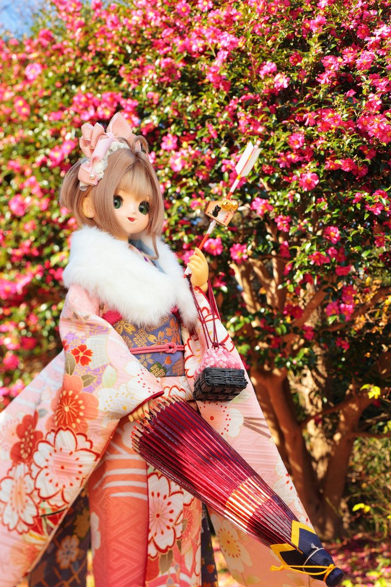 sakcol's tweet image. あけましておめでとうございます！

今年も沢山撮影に行けたらいいな！