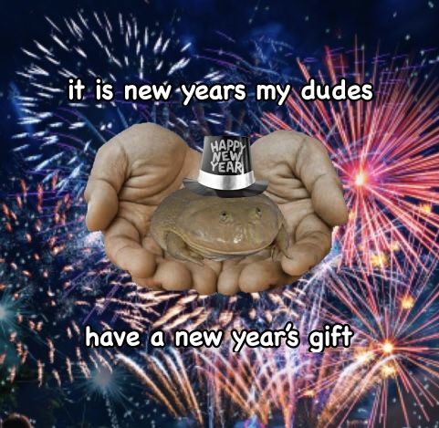 No Context Frogs (@nocontextfrogs) on Twitter photo 