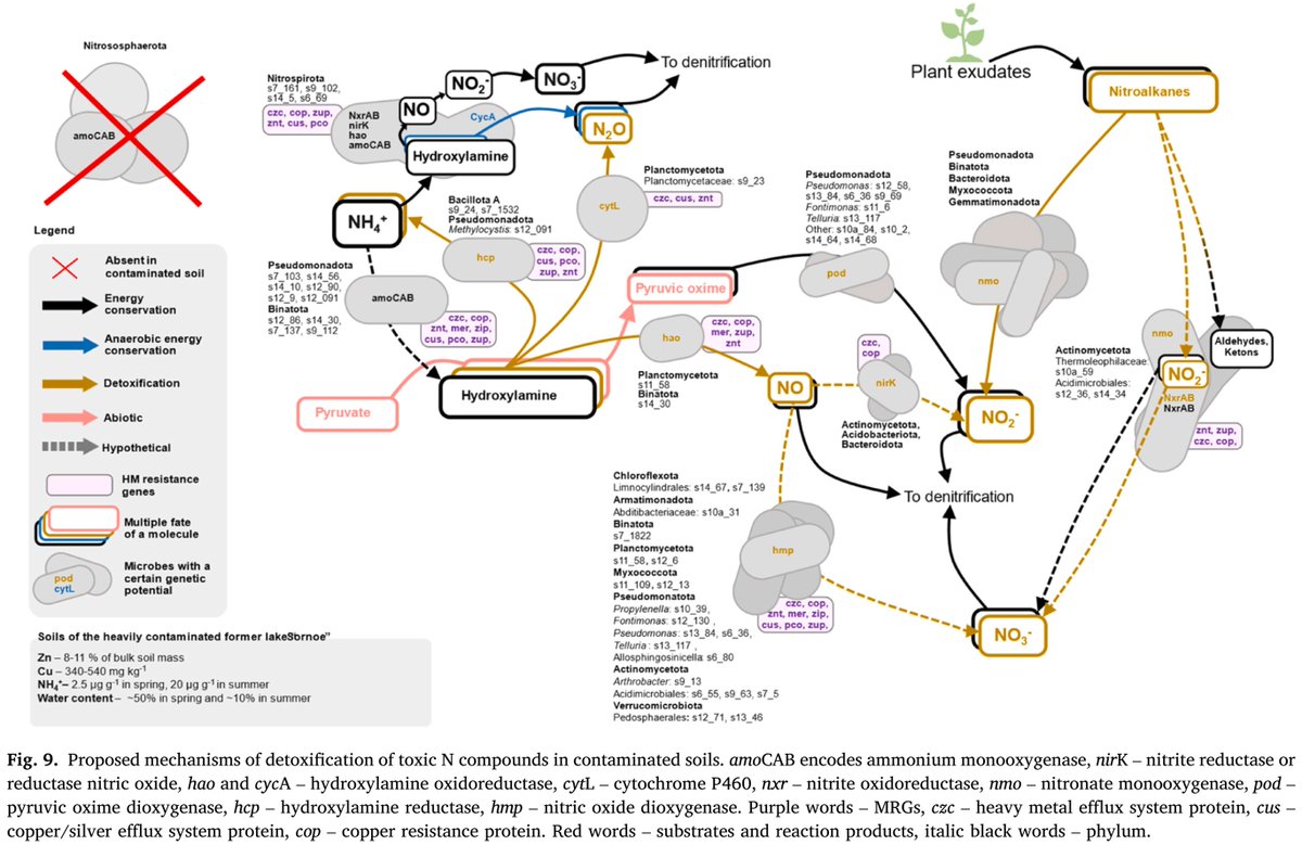 ykuzyakov's tweet image. 💥NEW in Journal of Hazardous Materials
Resistance of autotrophic and heterotrophic nitrifiers to #soil Zn #contamination
doi.org/10.1016/j.jhaz…

50-day Free: authors.elsevier.com/c/1mMjJ15DSlZO…

🍾Happy and healthy New Year! 🍾