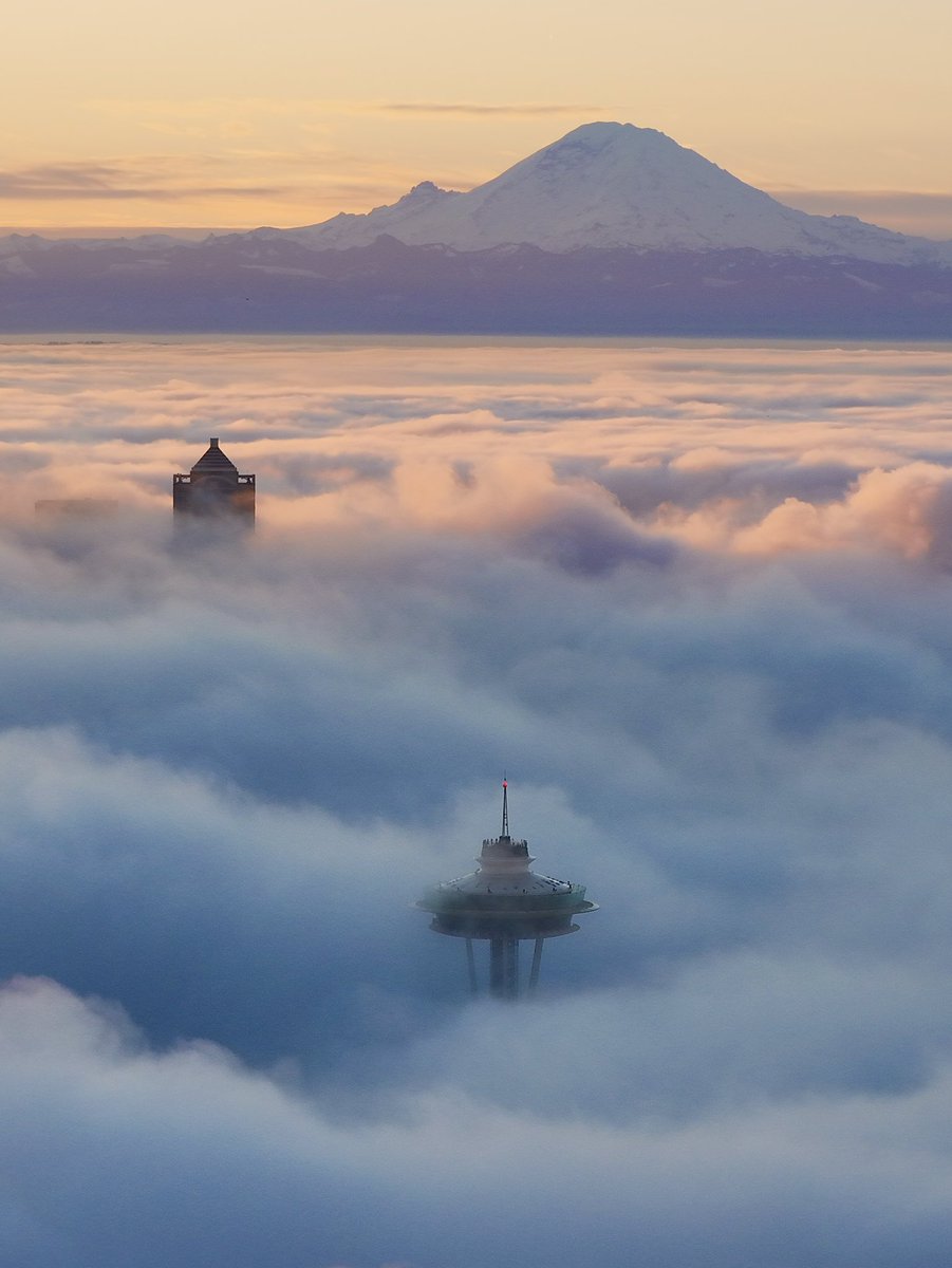 Wow! Our final sunrise of 2025 in #Seattle with Mt. Rainier looking majestic over the foggy inversion in the city. Fingers crossed for clear conditions for tonight’s New Year’s Eve fireworks display &amp; light show. 
#wawx #wx <a href="/MtRainierWatch/">Rainier Watch Supply Co 🏔</a> <a href="/GirlsWhoChase/">Girls Who Chase</a> #MountRainier