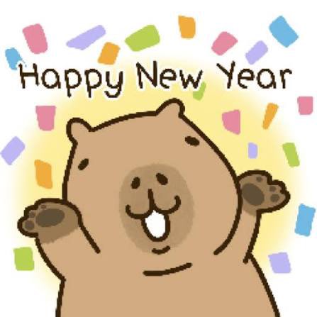 Happy new year!! Manifest 2026 is going to be a good year 😍✨