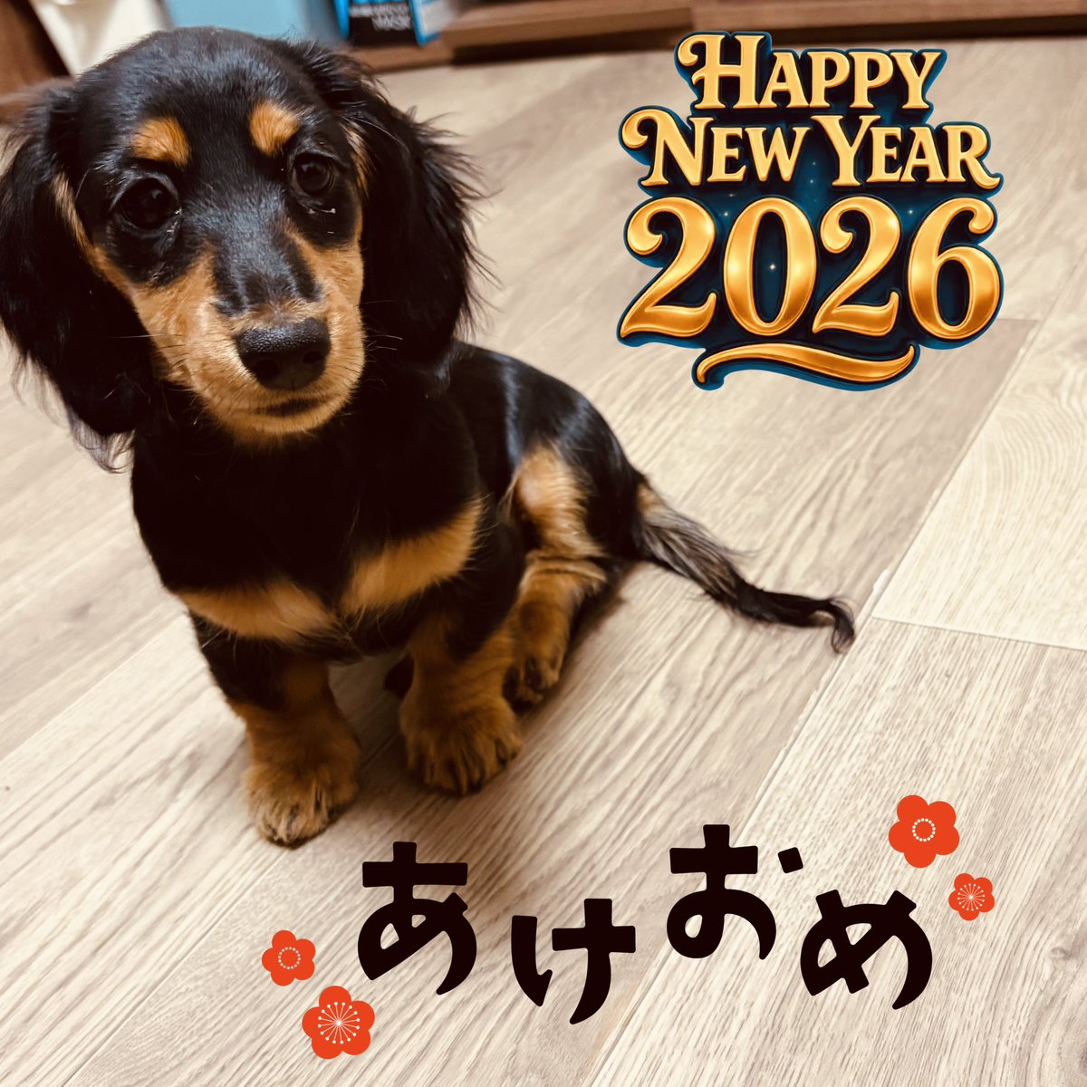 MITEI NARICO☆。.:＊・（ミテイナリコ） tweet media