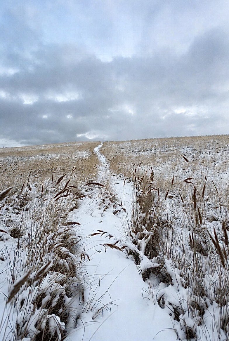 Nothing follows. That’s the mercy.
Good-bye 2025