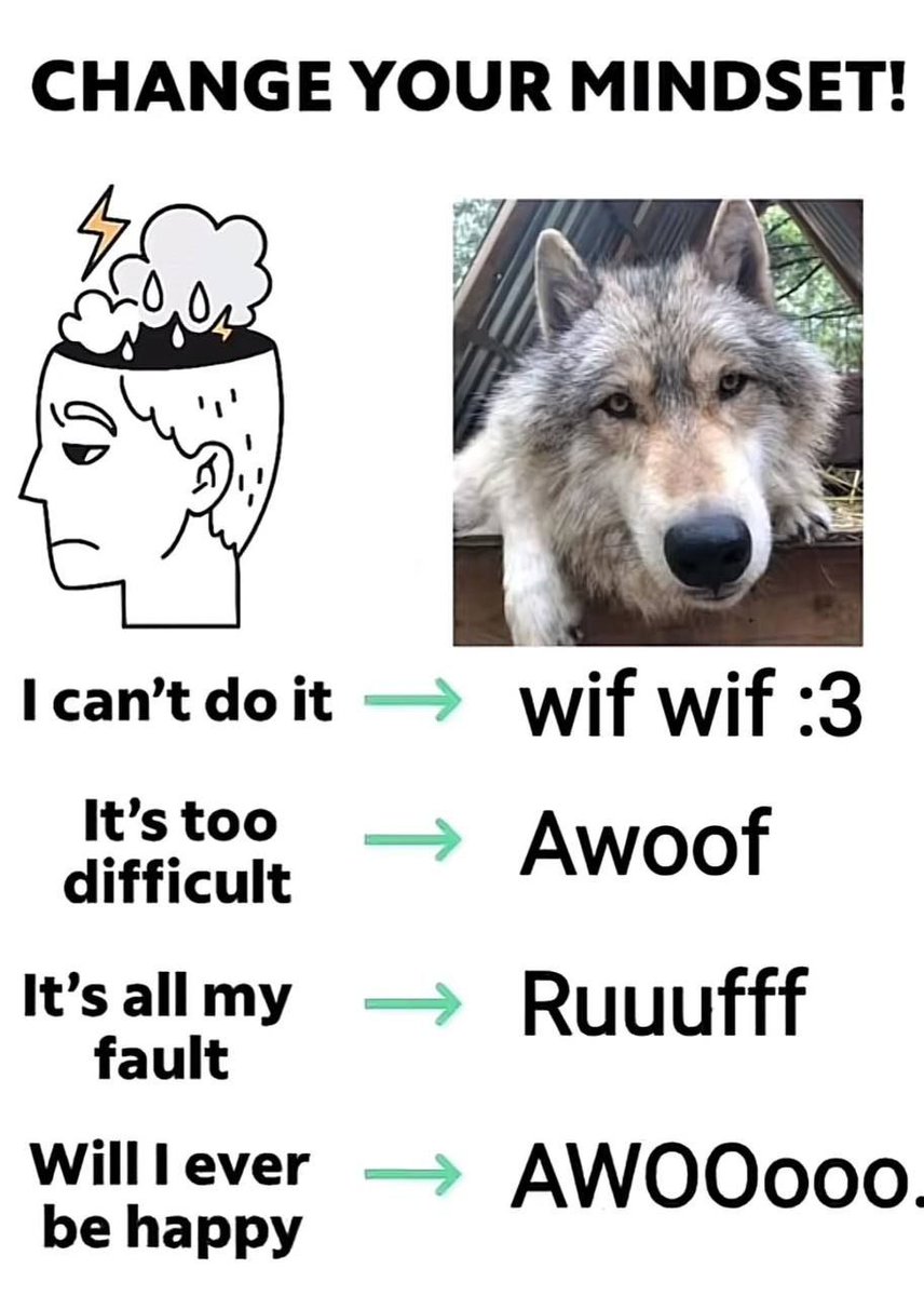 JimmyBelvins's tweet image. New Year’s resolution: become wolf