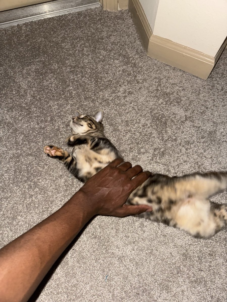 LegKennedy's tweet photo. Imma love my jit if she gay, imma love my jit if she trans, but I will not love my jit if she not getting no bands https://t.co/blxG9SxVfC