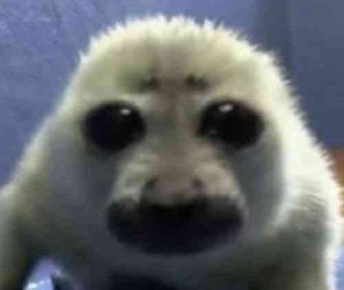 ProtectorofIlex's tweet image. // why are ppl summoning j@cksepticeye on my tl is this a new trend I'm not aware of or smth