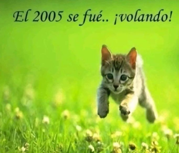 Lucho Portuano (@srluchoportuano) on Twitter photo 