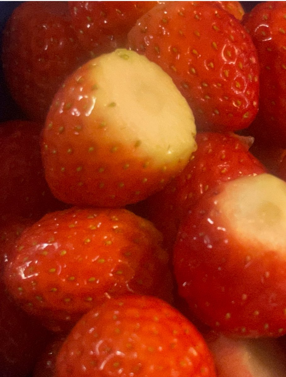 다시 딸기!!!!!!
이미 다 먹어버렷지만….
다들 잘쟈요 💗💗