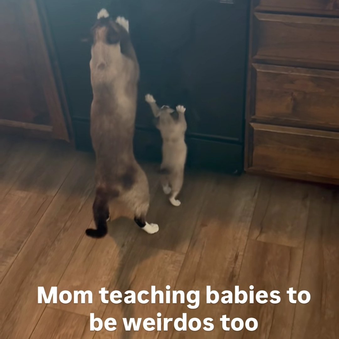 Gabidrinksbeer's tweet image. 