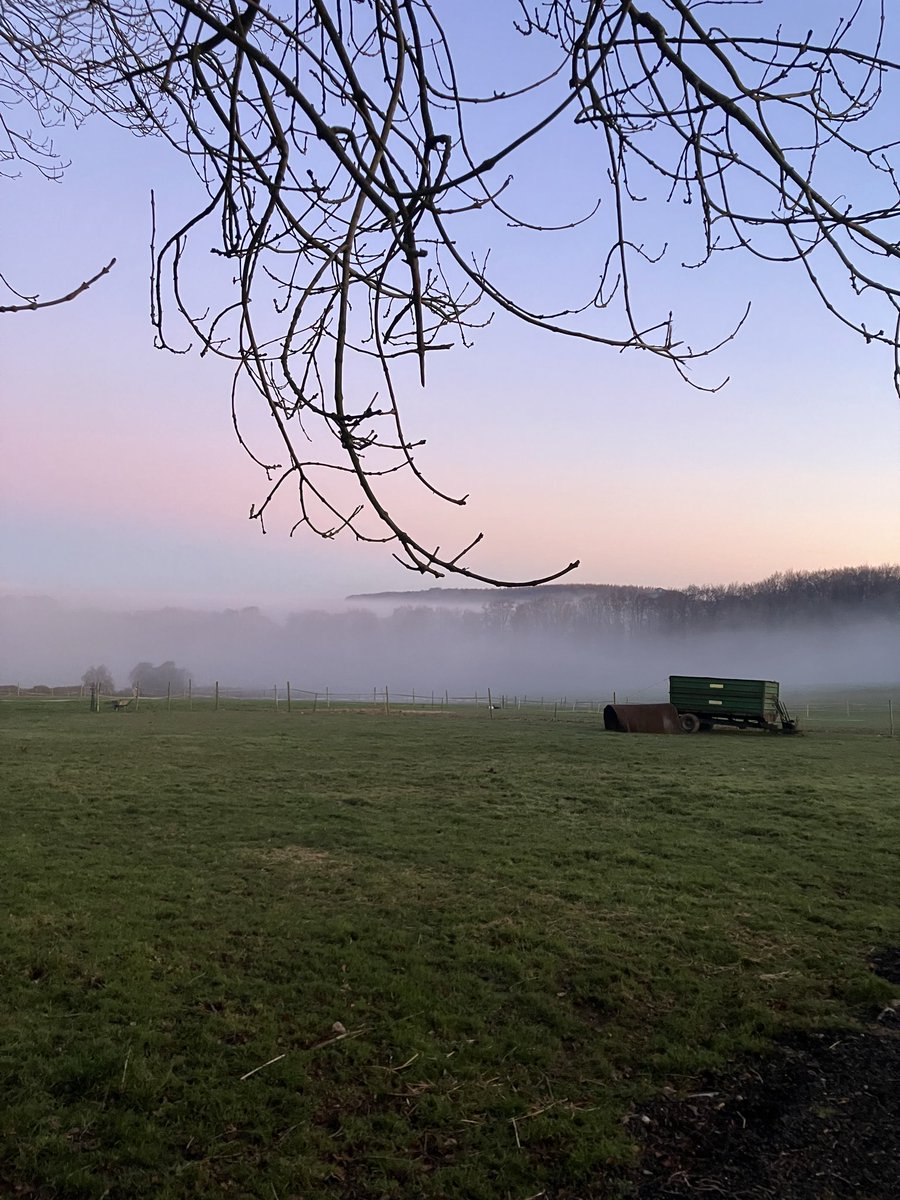 Mist rolling in at the last sunset of 2025