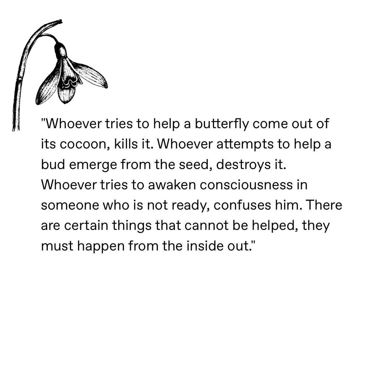 Ohmandala's tweet image. 