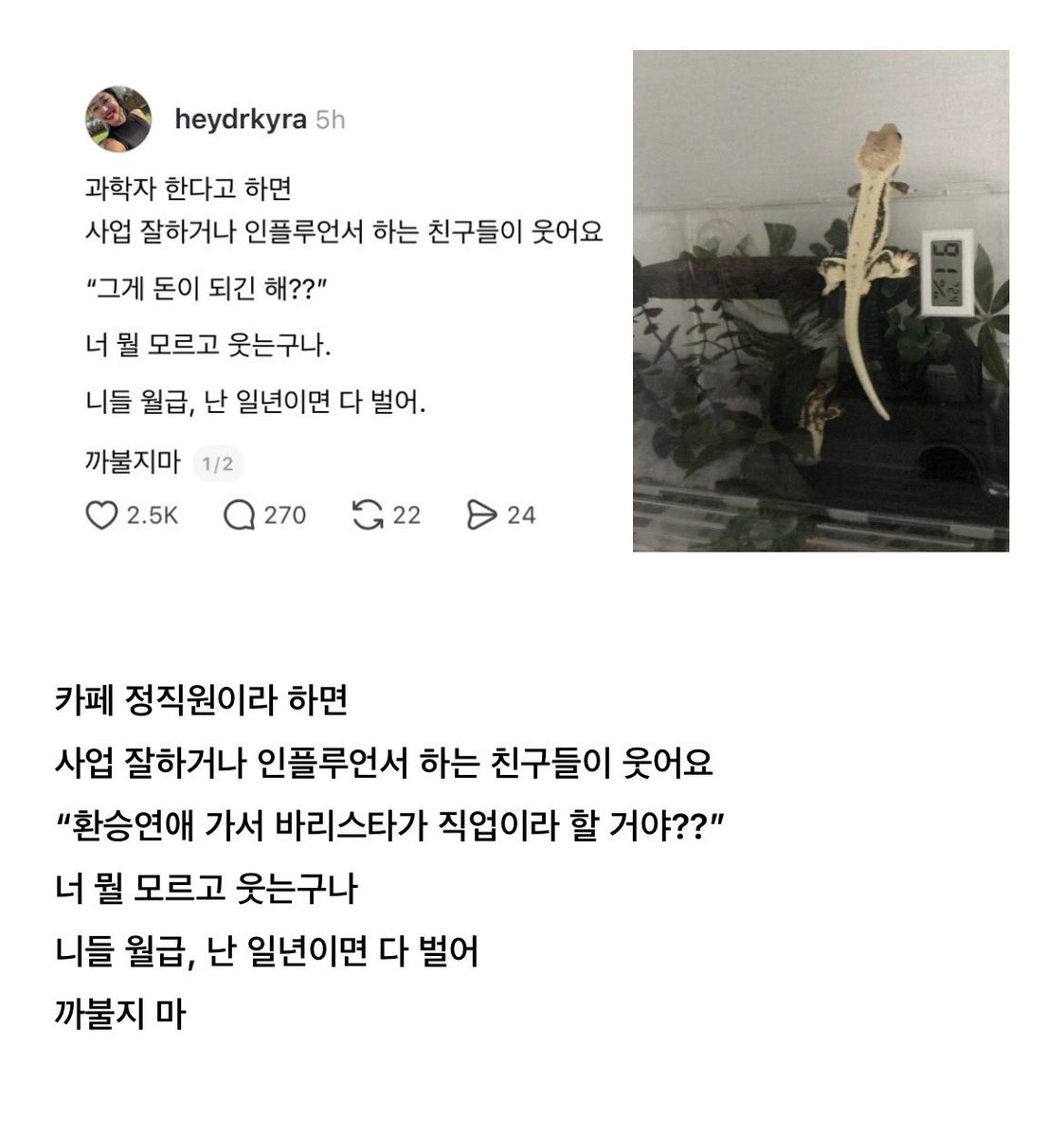 0호기 스튜던트? 따따마우스