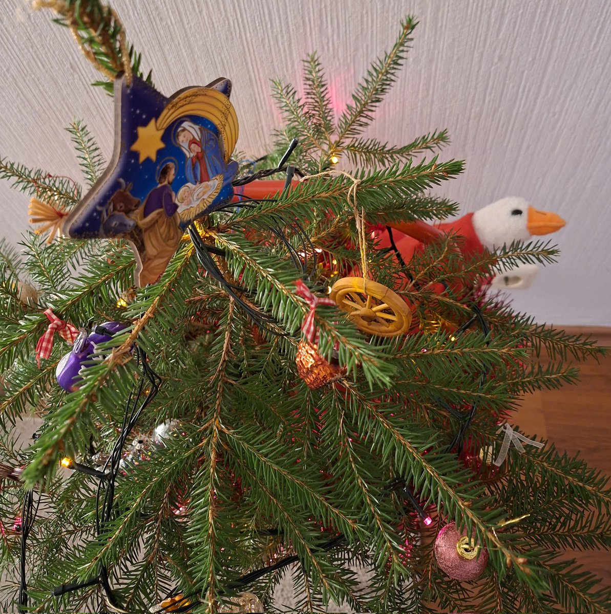 Zoss novēl jums visiem laimi, mīlestību, prieku un daudz ceļojumu Jaunajā gadā! ❤️🪿