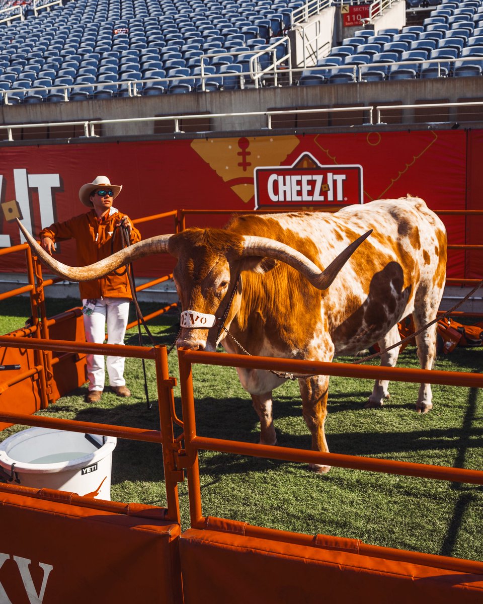 TexasFootball's tweet image. Y’all know @TexasMascot had to make the trip 🤘