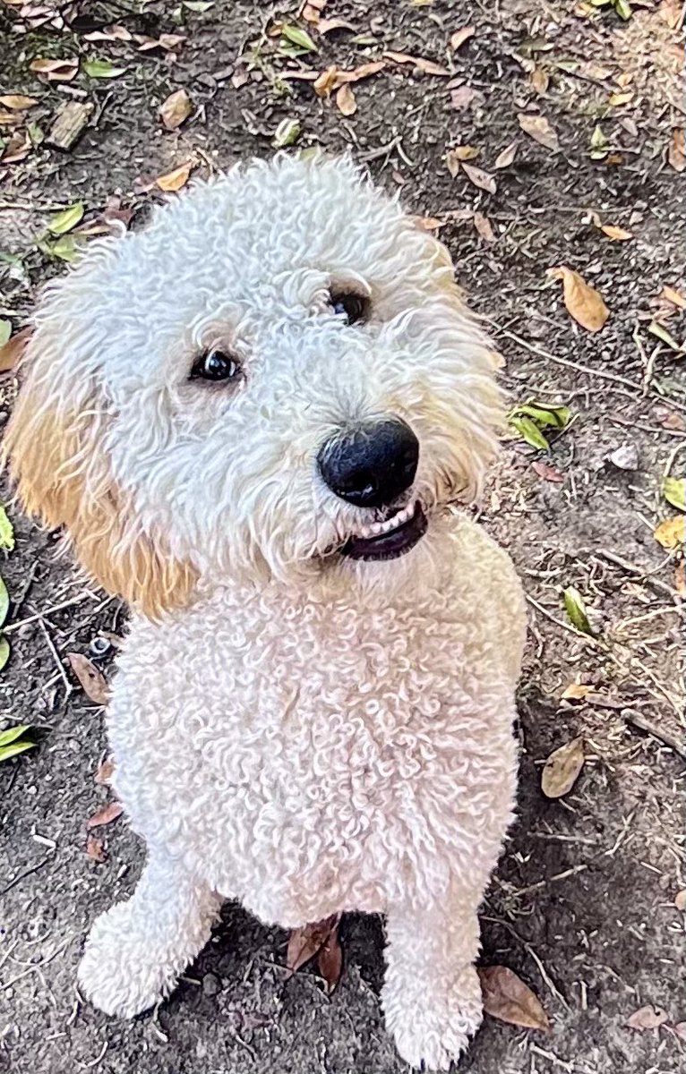 Today at Noon <a href="/FOX8NOLA/">FOX 8 New Orleans</a> #News #Nola. We are sharing more of your #familypictures   #lovedonespictures in our #smilesoftheday