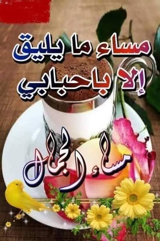 m_negrillo's tweet photo. مساء الخير يا قلوب قريبه من الروح اسال الله هذا المساء يشرح صدوركم ويجبر خاطركم ويكتب لكم فرح قريب ما يوجع القلب ويرزقكم راحه تبقى ويبعد عنكم كل هم ويحقق امنياتكم وحده وحده ويغمر ايامكم بالطمأنينه والرضا ويجعل بيوتكم عامره بالحب والخير ويجعل القادم اجمل مما تتمنون 🤍#مساءا https://t.co/DYt504ujWj