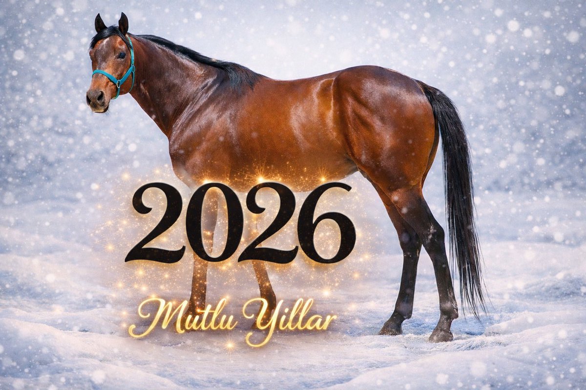 Fatma İPEK tweet media