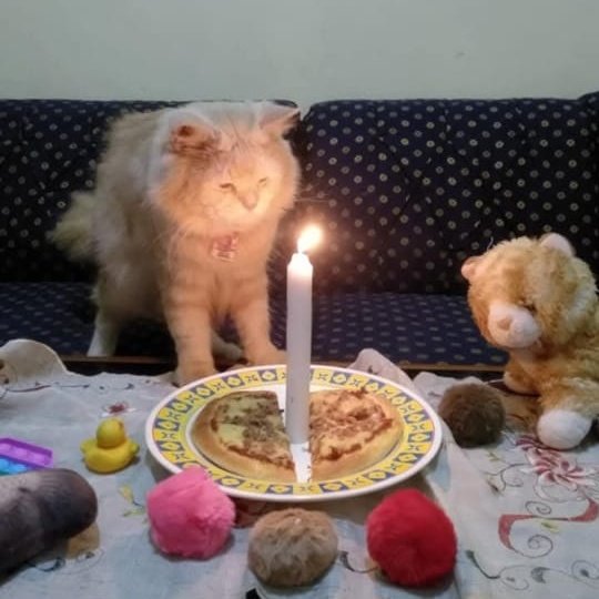 reoocha's tweet image. happy new year mas miin sayangku selamanya 🤍 

sedih soalnya gaada yg biasanya nyamperin aku di pergantian taun ini. be safe and happy out there sayang i miss youuuu so much let's meet again soon yaaaa❤‍🩹