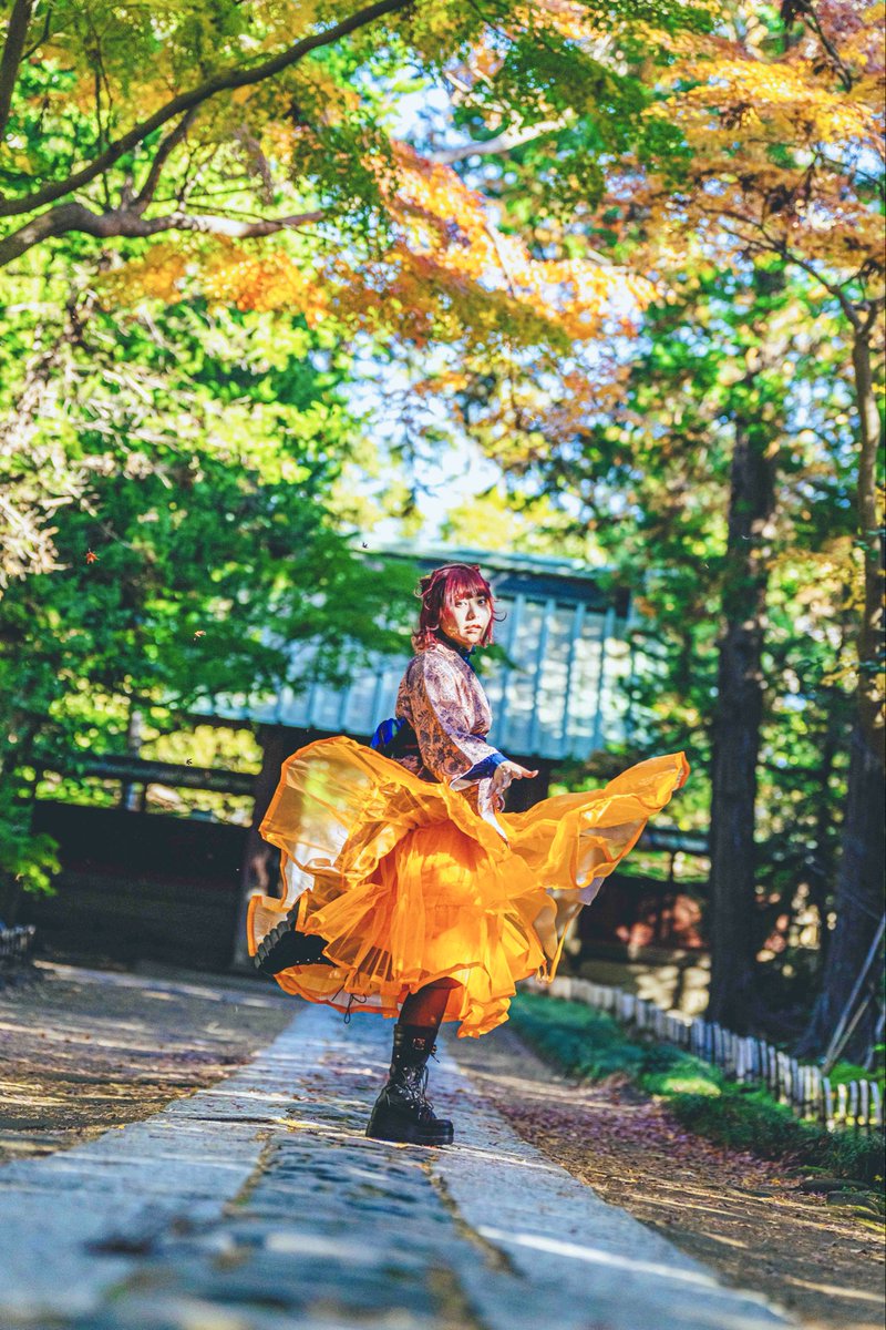 佐野小波🐾赤髪 tweet media