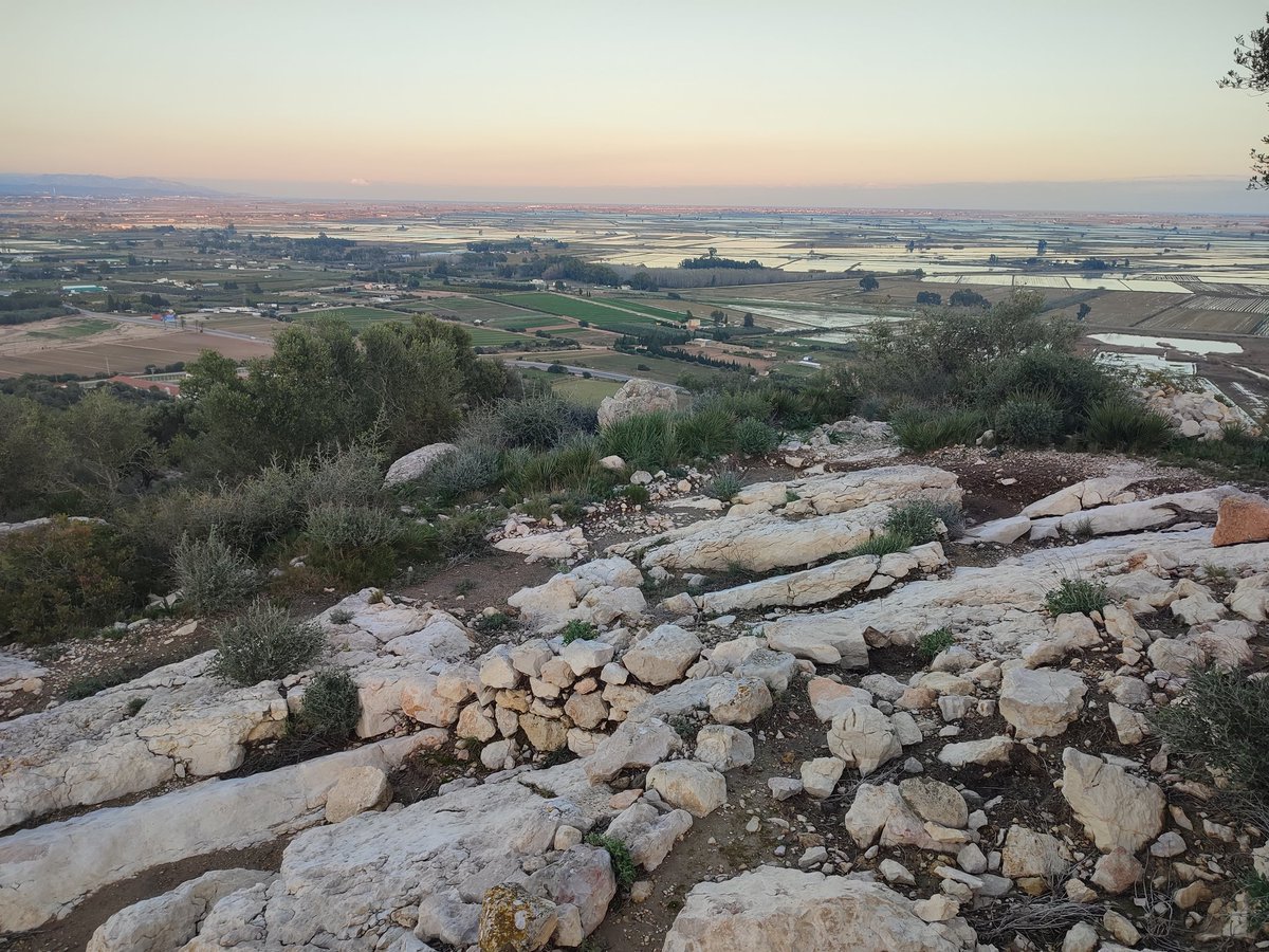 Samuel Sardà tweet media