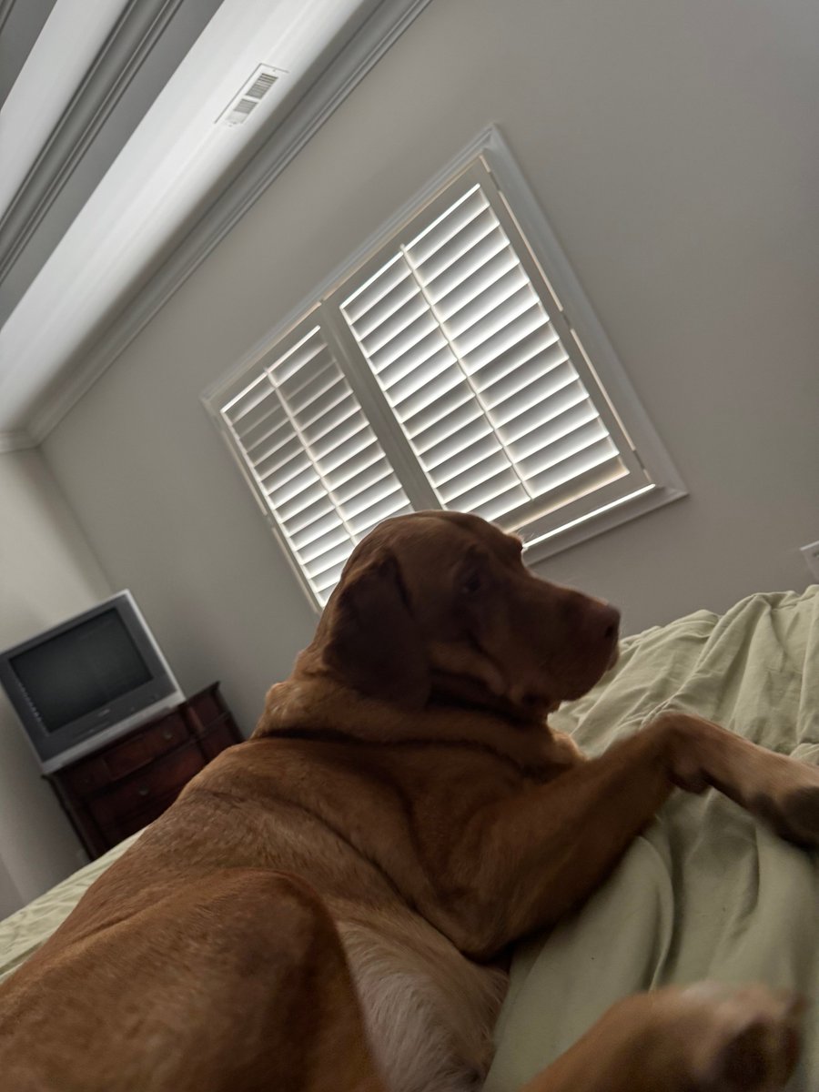 Yay or nay?!  Ruff!  😂😂