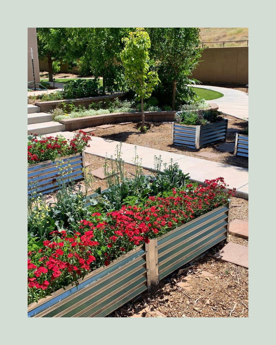 Agriscaping's tweet image. Grow food anywhere, anytime. 🌿
Agriscaping blends beauty + sustainability:
✅ Soil &amp;amp; water systems
✅ Indoor edible gardens
✅ Year-round crops
✅ Smart design
Your guide to edible abundance 👉 agriscaping.com/growing-abunda…
#Agriscaping #GrowFood #SustainableLiving