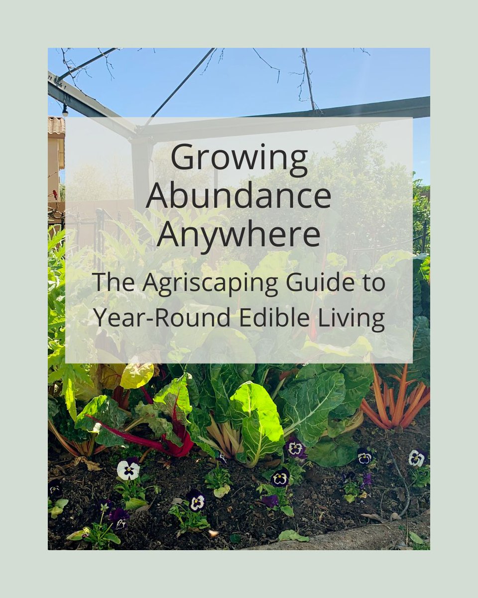 Agriscaping's tweet image. Grow food anywhere, anytime. 🌿
Agriscaping blends beauty + sustainability:
✅ Soil &amp;amp; water systems
✅ Indoor edible gardens
✅ Year-round crops
✅ Smart design
Your guide to edible abundance 👉 agriscaping.com/growing-abunda…
#Agriscaping #GrowFood #SustainableLiving