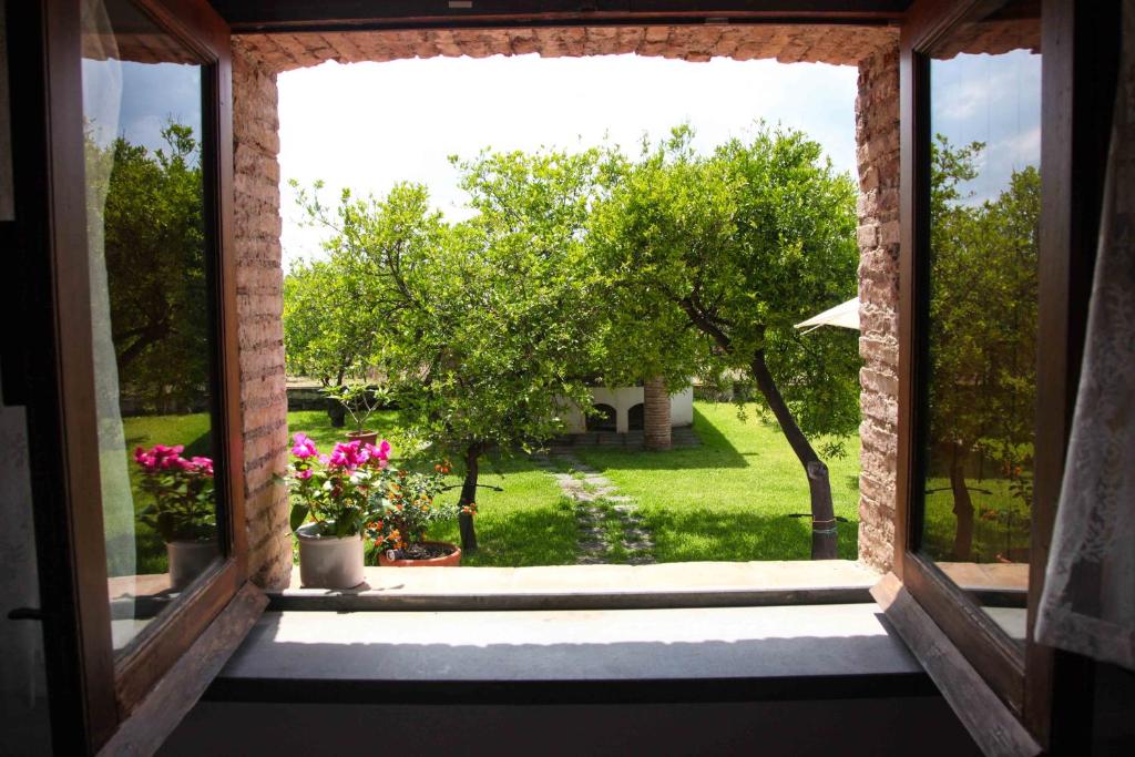 Ecobnb_it's tweet photo. 🌋🍋 Tra il verde intenso dei limoneti biologici e il profilo imponente del vulcano, Agriturismo Galea è il luogo ideale per vivere la #Sicilia in modo autentico e sostenibile.
https://t.co/0TfL9fS8tJ https://t.co/vKAC9ztv4H