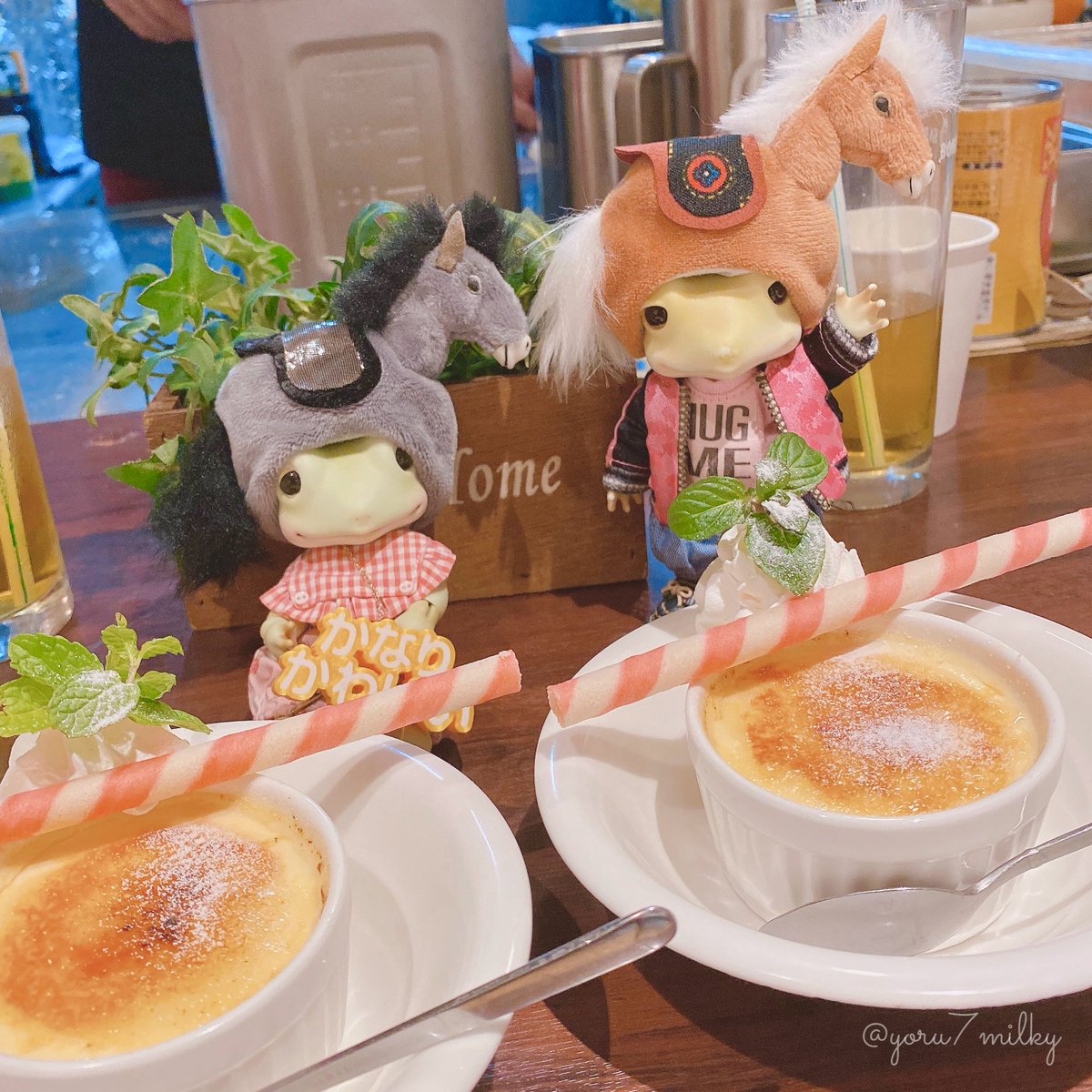 お馬さんまで貸してくれた♡
すごいエンジョイしちゃってる🐸🐴💕

クリームブリュレも美味しい🤤
#tennbar