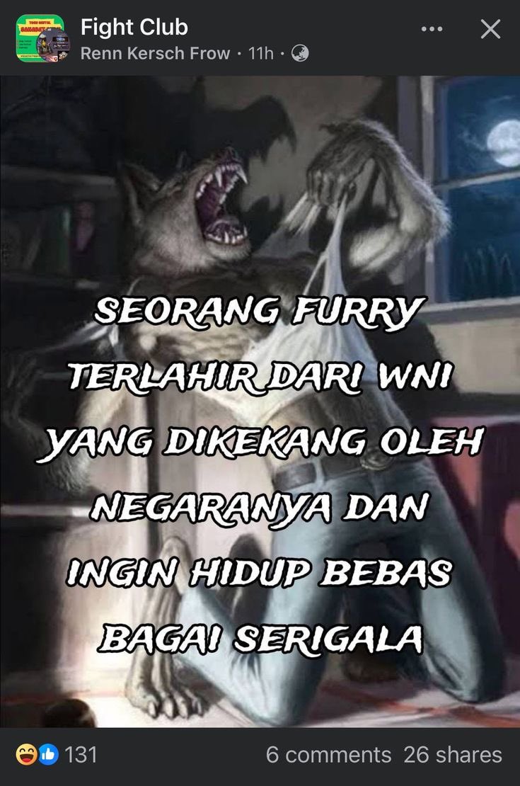 novfacane's tweet image. 