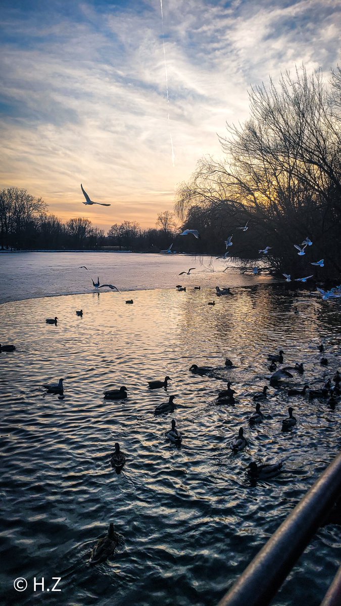 huda zahid tweet media