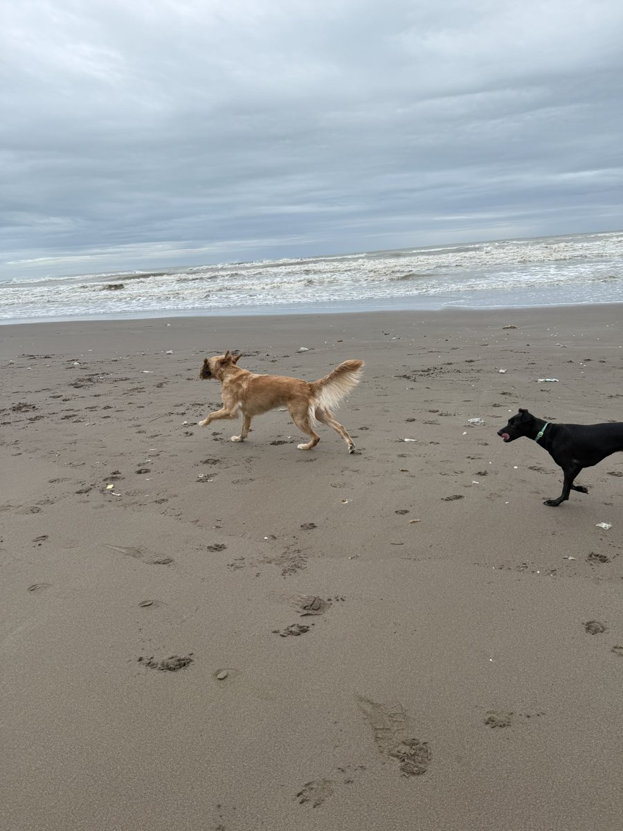 Venir al pueblo para que la playa sea  toda nuestra 💛