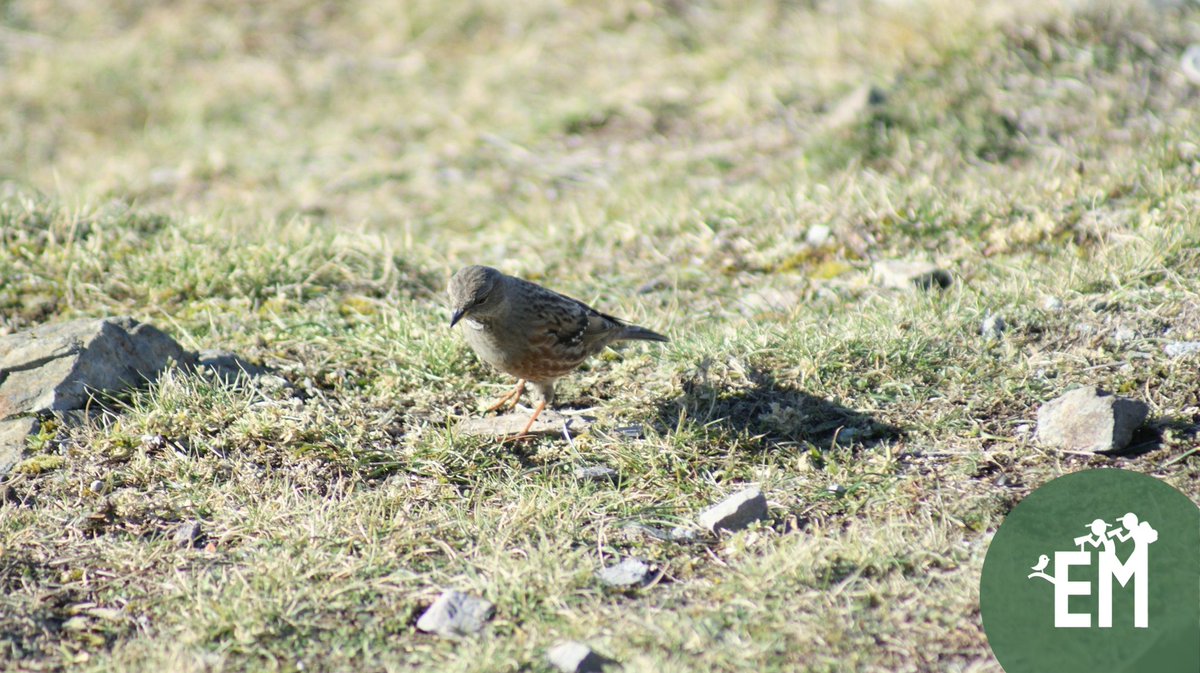 explorant el mapa 🗺️ tweet media