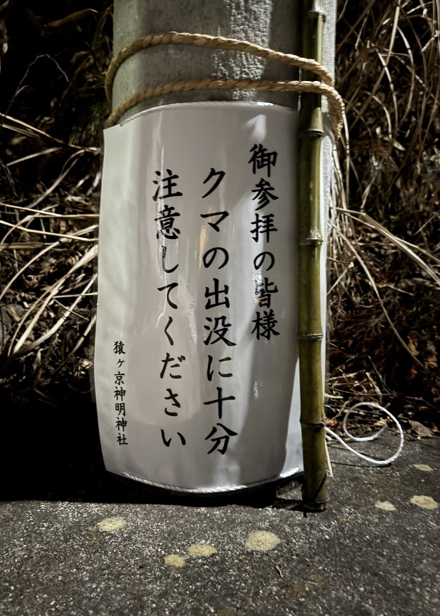 あけまして激烈おめでとうございます🎍👺🎍