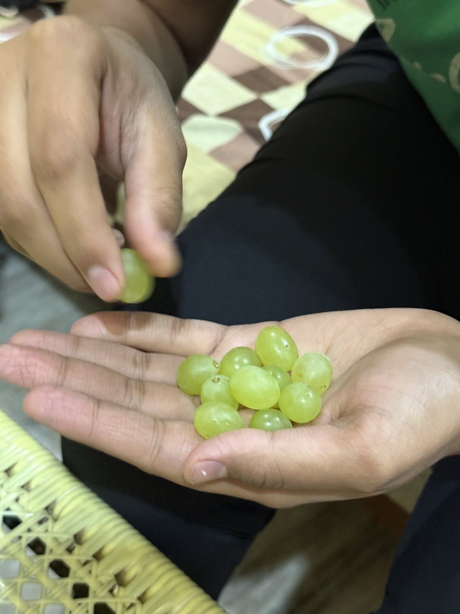 byvarshha's tweet photo. Who all are ready with the grapes? https://t.co/D7wzKTebhE