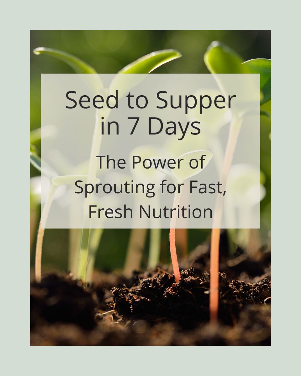 Agriscaping's tweet image. Grow food in 7 days—no garden required 🌱
Sprouting unlocks fast, fresh nutrition from pantry staples. Boost energy, digestion &amp;amp; flavor right on your countertop!
Discover the “Seed to Supper” method 👉 agriscaping.com/power-of-sprou…
#Sprouting #SeedToSupper #Agriscaping #HealthyLiving