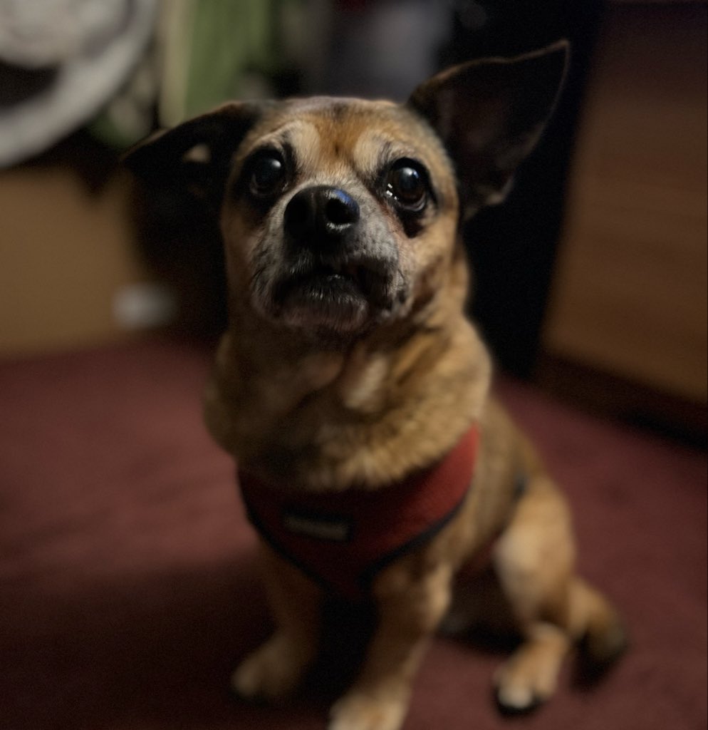 Lisa❣️920 tweet media