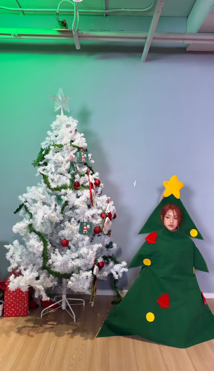 wsangt's tweet photo. Hohoho, I’m the Christmas tree! https://t.co/hikqHssp9L