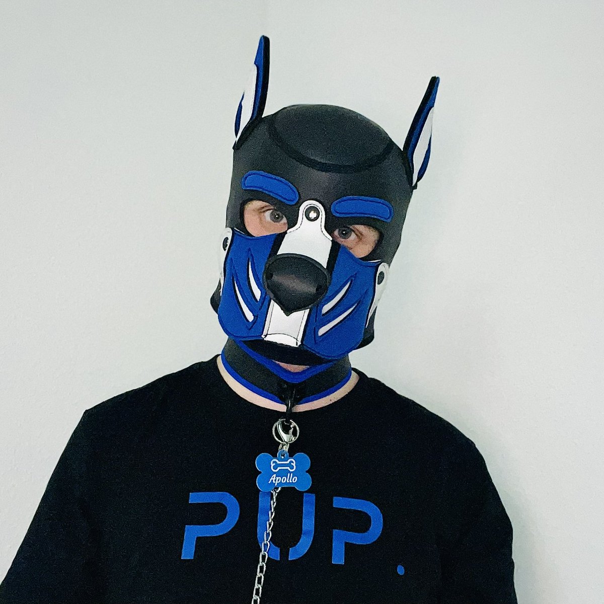 And some bonus pics because it was too hard to choose 😅

🔵⚪️ <a href="/Fyre_Boi/">Fyre</a> 
🟣🟠 <a href="/PupAnansi/">Pup Anansi</a> 
⚪️ <a href="/PupOmnis/">Pup Omnis 🔜 HOWL</a>