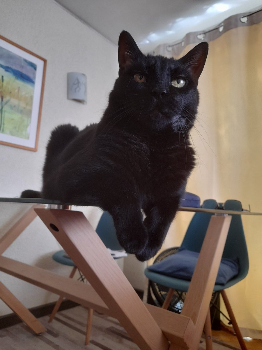 Alberto Rojas M. tweet media