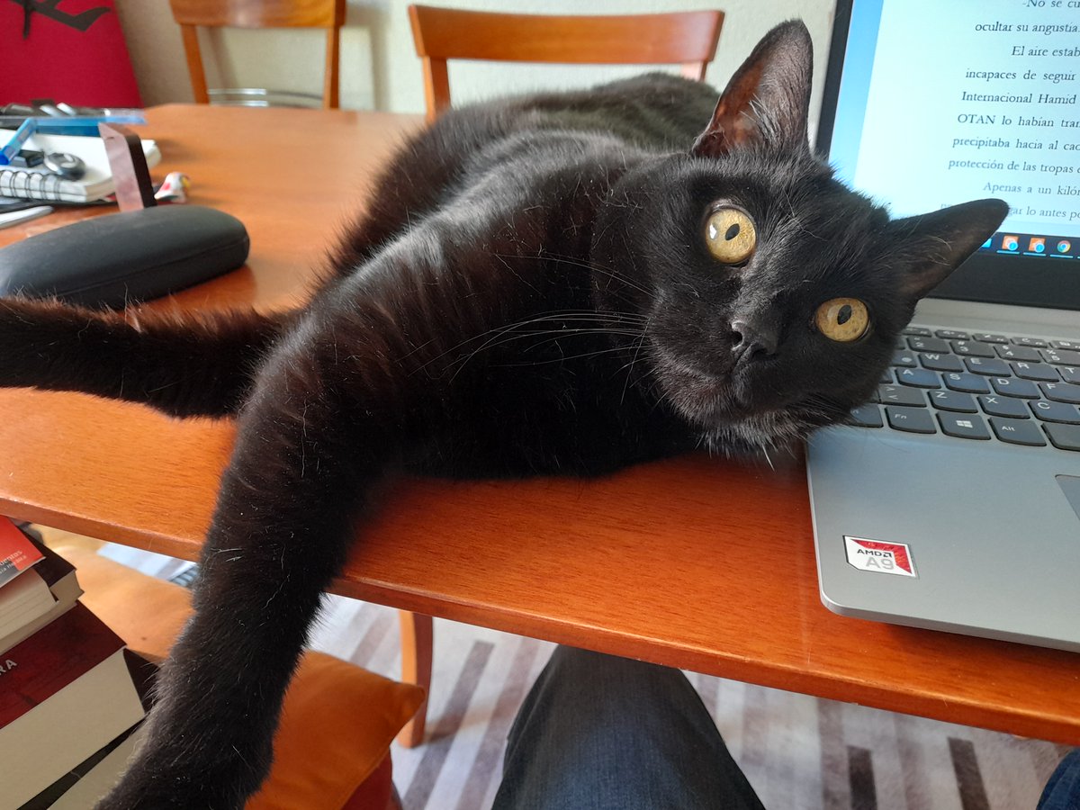 Alberto Rojas M. tweet media