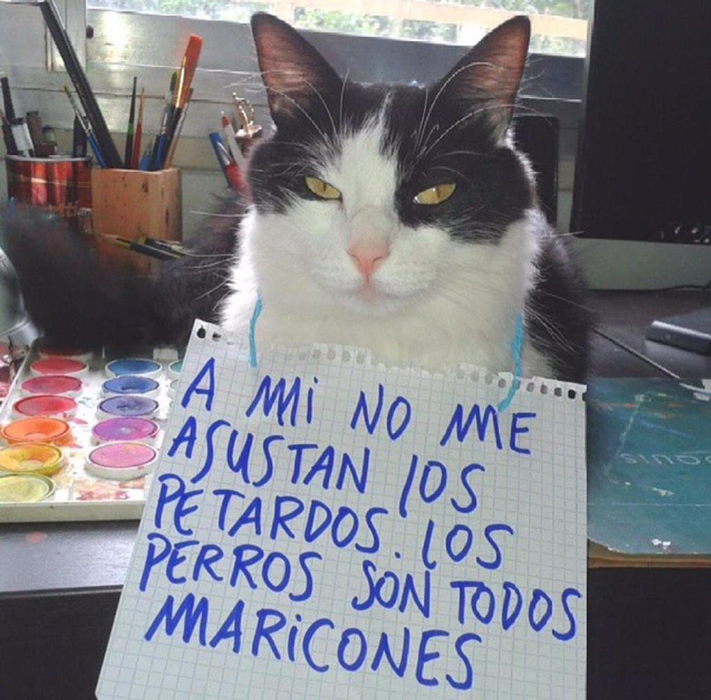 Don Maízo (@donmaizo) on Twitter photo 