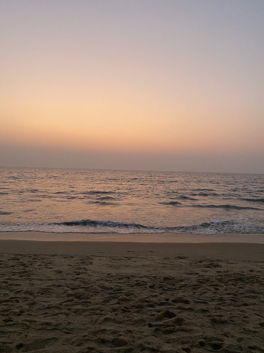 Indira Jaising tweet media