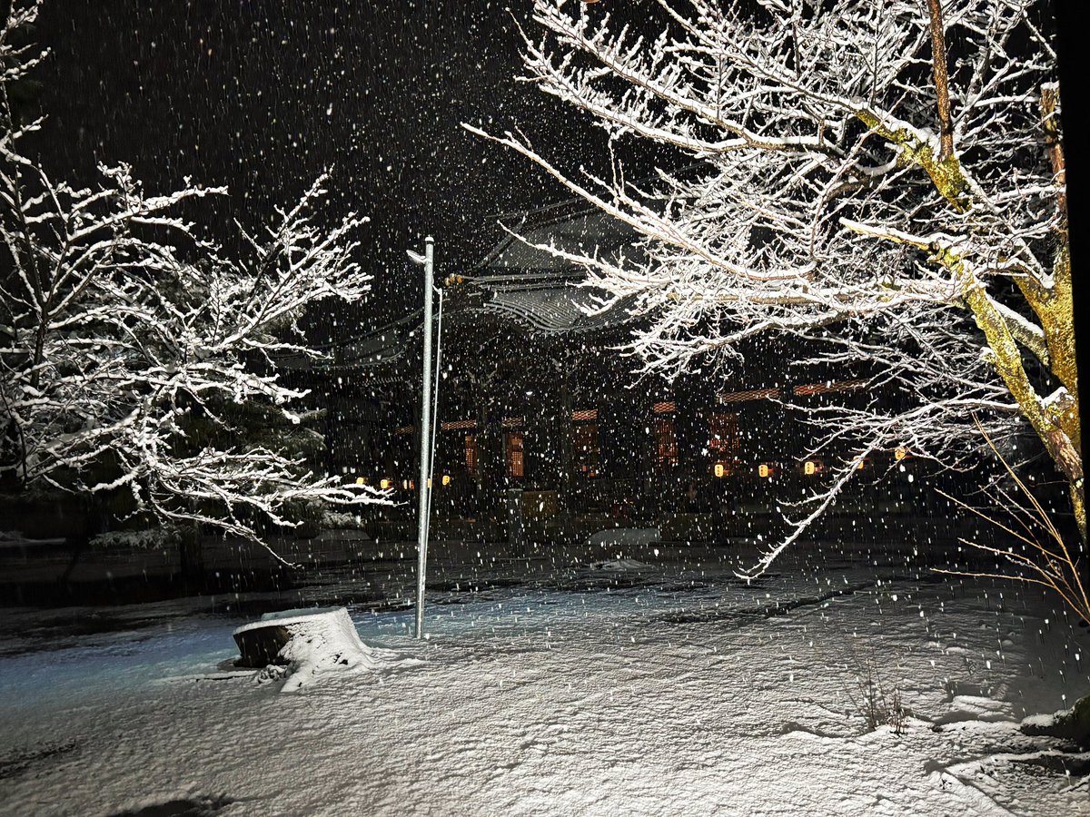 早めの二年参り☃️