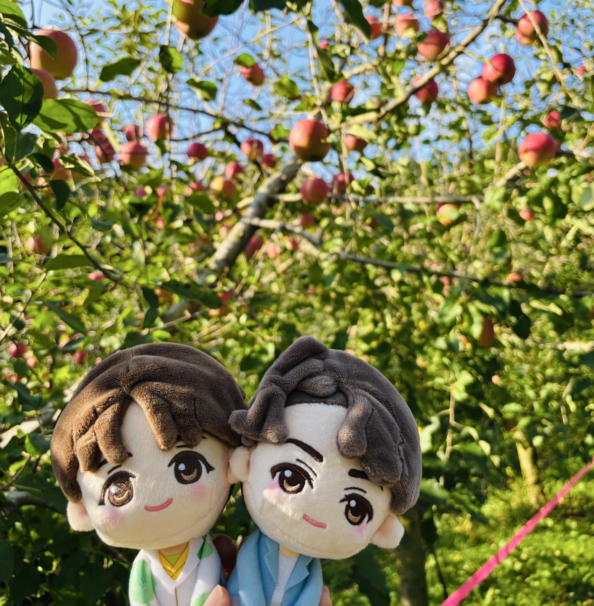 2025年お世話になりました🙇‍♀️

今年も仲良くしてくれた皆さん、本当にありがとうございました✨
SEVENTEENにもCaratさんにも会えて幸せで楽しい一年になりました🥹💖

来年もよろしくお願いします🙇‍♀️✨
良いお年をお迎えください🥰